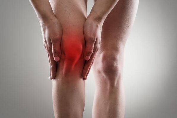 Aerosol indication knee pain Hondrox