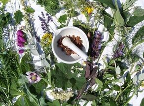 Herbs for the treatment of osteochondrosis.