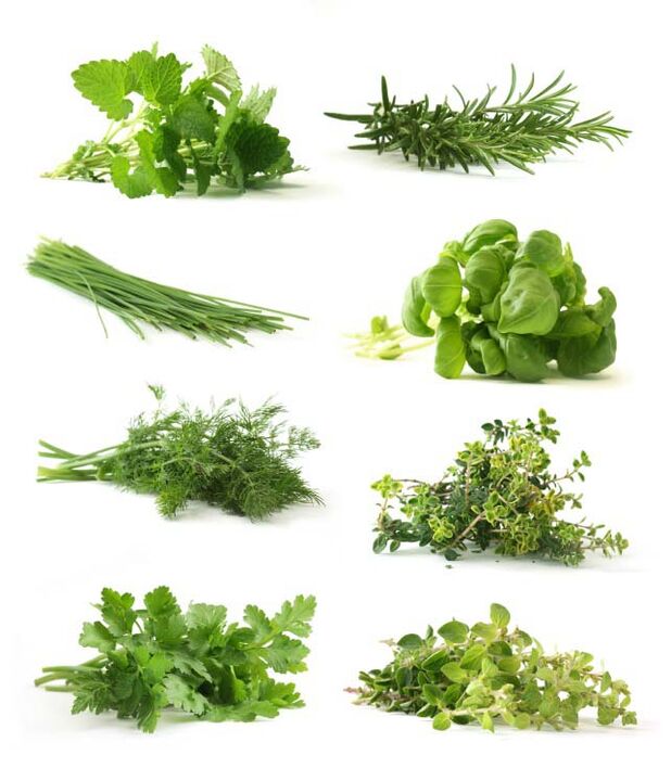 Medicinal herbs for the treatment of osteochondrosis at home.